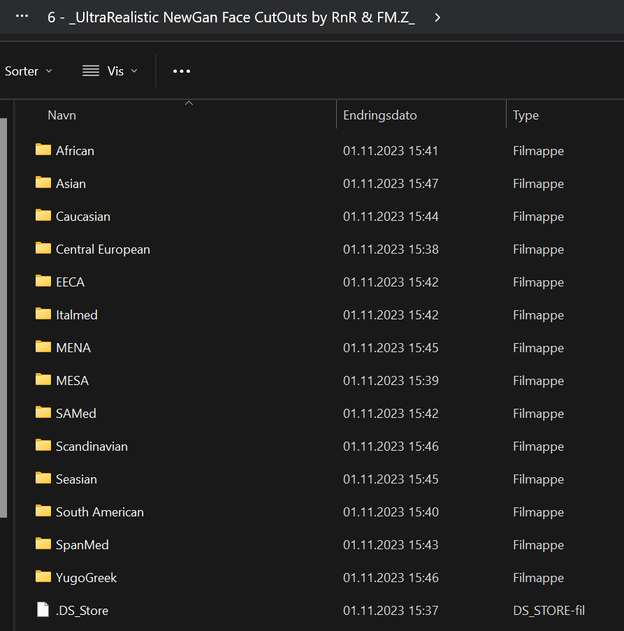 newgan faces megapack folders overview