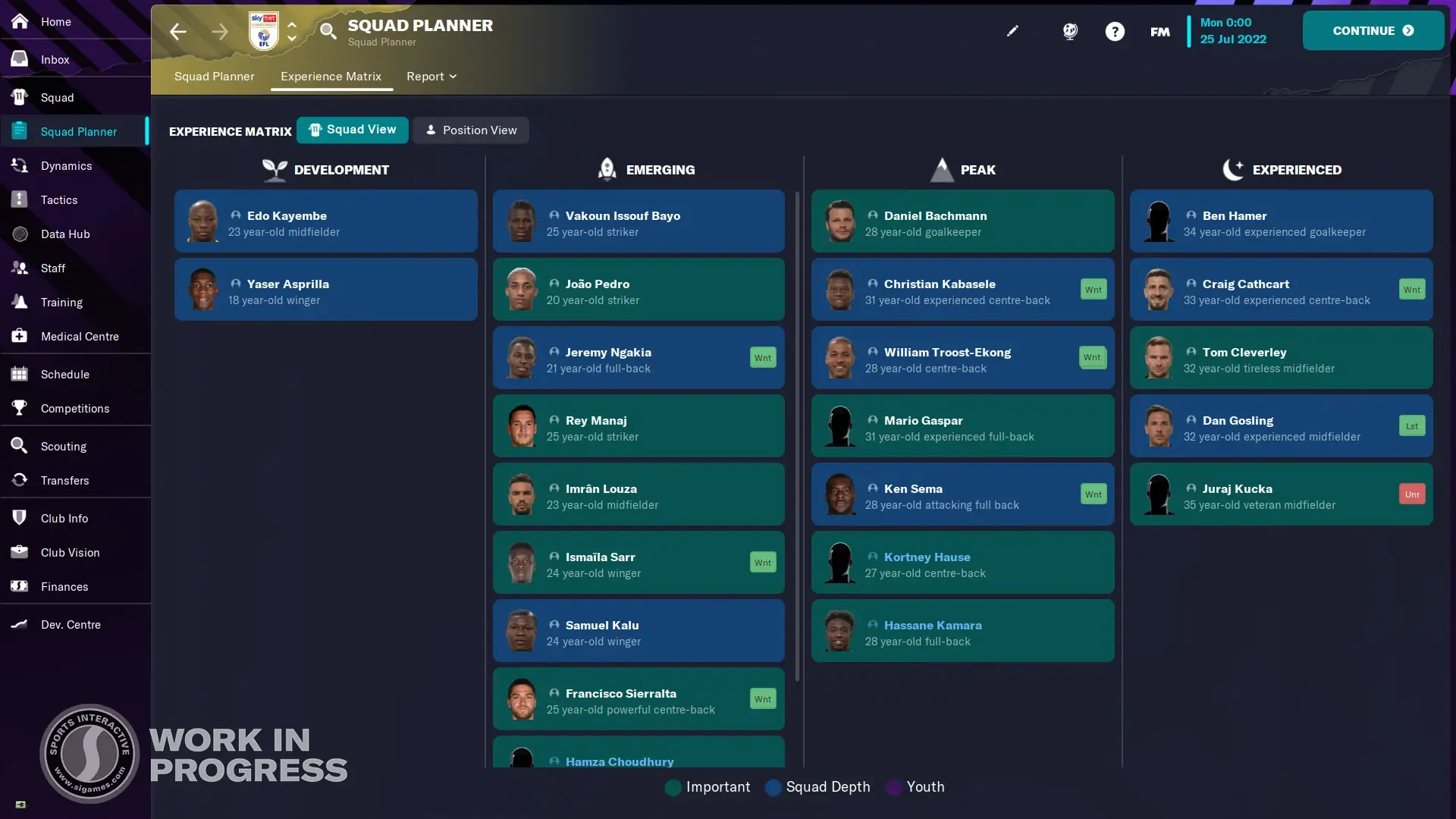 Football Manager 2023 squad experience matrix